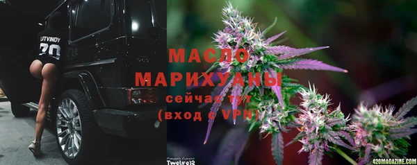 гашик Пересвет