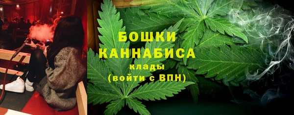 сатива Пестово