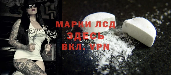 гашик Пересвет