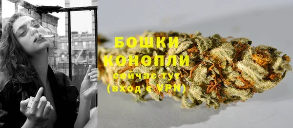 гашик Пересвет