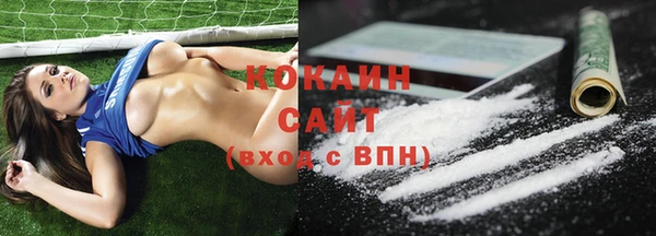 гашик Пересвет
