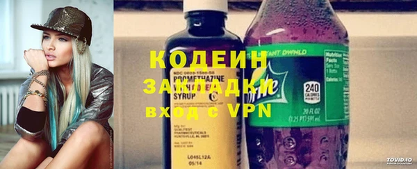 гидра Абаза