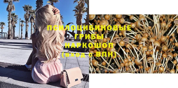 сатива Пестово