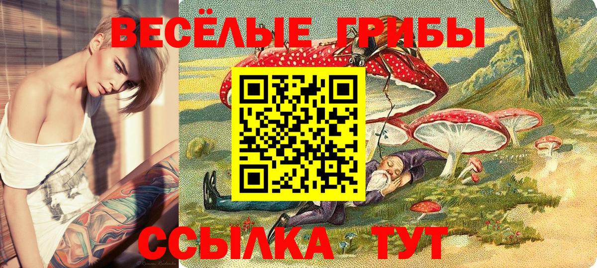 Приморско-Ахтарск  Псилоцибиновые грибы MAGIC MUSHROOMS  Вход с VPN 