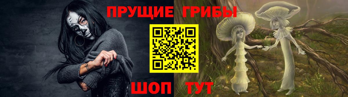 Галлюциногенные грибы Psilocybine cubensis Приморско-Ахтарск